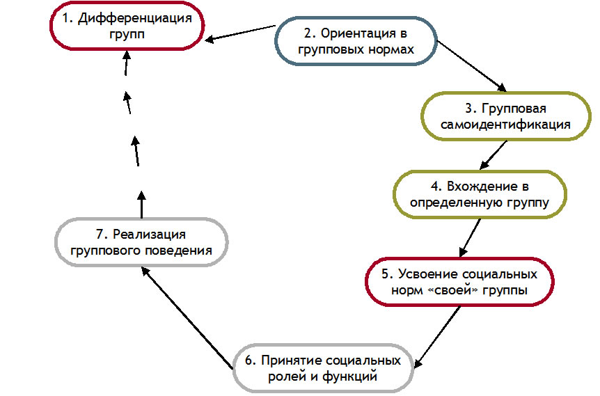 Схема процесса групповой социализации 